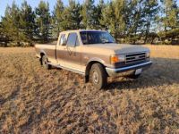 Ford F250 F-250 diesel  - <small></small> 25.600 € <small>TTC</small> - #1