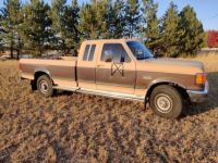 Ford F250 F-250 diesel  - <small></small> 25.600 € <small>TTC</small> - #2