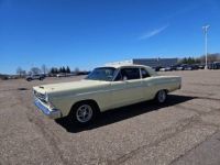 Ford Fairlane - <small></small> 23.000 € <small>TTC</small> - #1