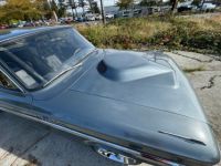 Ford Fairlane - <small></small> 23.000 € <small>TTC</small> - #9