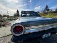 Ford Fairlane - <small></small> 23.000 € <small>TTC</small> - #16