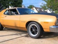 Ford Gran Torino - <small></small> 27.000 € <small>TTC</small> - #1