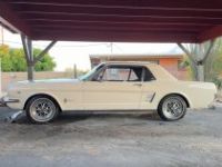 Ford Mustang - <small></small> 26.000 € <small>TTC</small> - #19