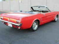 Ford Mustang - <small></small> 56.000 € <small>TTC</small> - #15