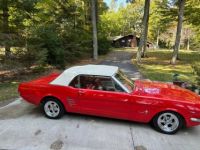 Ford Mustang - <small></small> 35.000 € <small>TTC</small> - #5