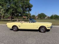 Ford Mustang - <small></small> 54.000 € <small>TTC</small> - #5