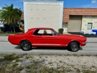 Ford Mustang - <small></small> 35.000 € <small>TTC</small> - #7