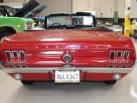 Ford Mustang - <small></small> 47.000 € <small>TTC</small> - #25