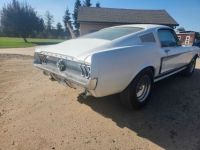 Ford Mustang - <small></small> 51.000 € <small>TTC</small> - #3