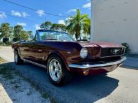 Ford Mustang - <small></small> 44.000 € <small>TTC</small> - #24