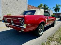 Ford Mustang - <small></small> 46.000 € <small>TTC</small> - #26