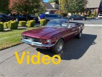 Ford Mustang - <small></small> 30.000 € <small>TTC</small> - #1