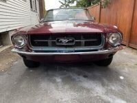 Ford Mustang - <small></small> 30.000 € <small>TTC</small> - #2