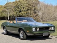 Ford Mustang - <small></small> 56.000 € <small>TTC</small> - #23