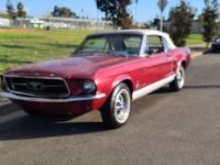 Ford Mustang - <small></small> 36.000 € <small>TTC</small> - #2