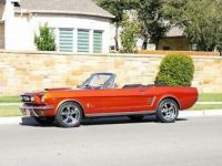 Ford Mustang - <small></small> 66.000 € <small>TTC</small> - #13