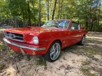 Ford Mustang - <small></small> 67.000 € <small>TTC</small> - #2