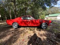 Ford Mustang - <small></small> 67.000 € <small>TTC</small> - #7