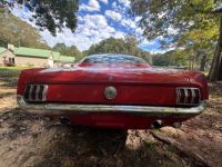 Ford Mustang - <small></small> 67.000 € <small>TTC</small> - #8