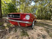 Ford Mustang - <small></small> 67.000 € <small>TTC</small> - #9