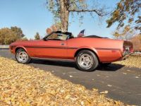 Ford Mustang - <small></small> 38.000 € <small>TTC</small> - #4