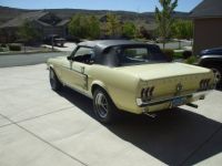 Ford Mustang - <small></small> 44.000 € <small>TTC</small> - #19