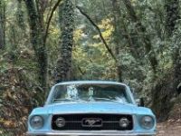 Ford Mustang - <small></small> 38.000 € <small>TTC</small> - #4