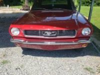 Ford Mustang - <small></small> 20.000 € <small>TTC</small> - #3