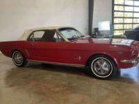 Ford Mustang - <small></small> 38.000 € <small>TTC</small> - #1