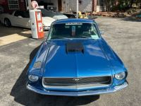 Ford Mustang - <small></small> 78.000 € <small>TTC</small> - #7