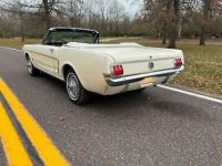 Ford Mustang - <small></small> 40.000 € <small>TTC</small> - #4