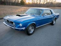 Ford Mustang - <small></small> 149.000 € <small>TTC</small> - #12