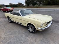 Ford Mustang - <small></small> 19.000 € <small>TTC</small> - #3