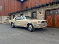 Ford Mustang - <small></small> 40.000 € <small>TTC</small> - #21