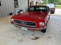 Ford Mustang - <small></small> 28.000 € <small>TTC</small> - #10