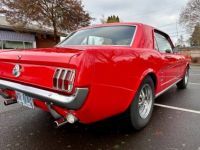 Ford Mustang - <small></small> 35.000 € <small>TTC</small> - #4