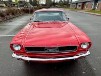 Ford Mustang - <small></small> 35.000 € <small>TTC</small> - #5