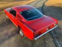 Ford Mustang - <small></small> 71.000 € <small>TTC</small> - #3