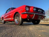 Ford Mustang - <small></small> 71.000 € <small>TTC</small> - #7