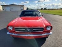 Ford Mustang - <small></small> 33.000 € <small>TTC</small> - #6