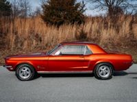 Ford Mustang - <small></small> 41.000 € <small>TTC</small> - #8