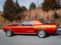 Ford Mustang - <small></small> 41.000 € <small>TTC</small> - #10