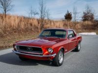 Ford Mustang - <small></small> 41.000 € <small>TTC</small> - #19