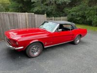 Ford Mustang - <small></small> 38.600 € <small>TTC</small> - #9