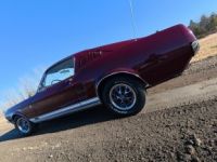 Ford Mustang - <small></small> 108.000 € <small>TTC</small> - #21