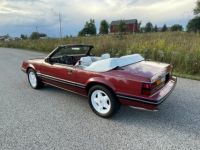 Ford Mustang - <small></small> 20.300 € <small>TTC</small> - #12