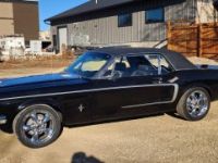 Ford Mustang - <small></small> 37.000 € <small>TTC</small> - #10