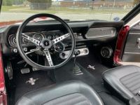 Ford Mustang - <small></small> 68.100 € <small>TTC</small> - #7