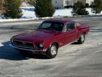 Ford Mustang - <small></small> 55.900 € <small>TTC</small> - #1