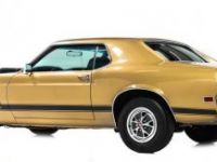 Ford Mustang - <small></small> 36.000 € <small>TTC</small> - #8